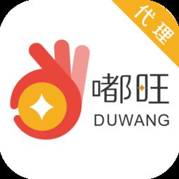 嘟旺代理 一站式代理代办服务解析